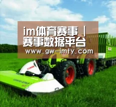 关于im体育