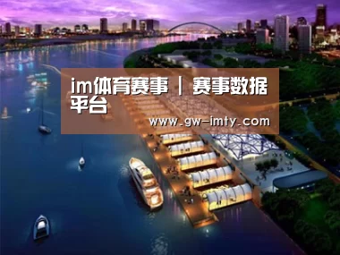 案例展示八