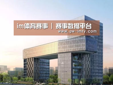 案例展示四