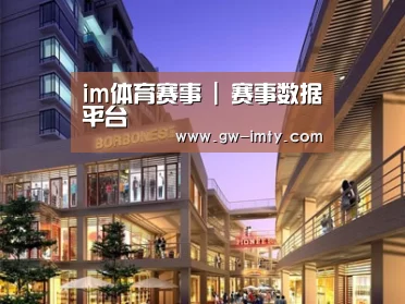 案例展示一