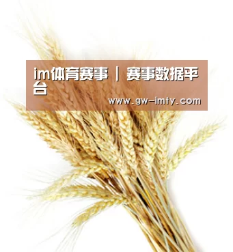 im体育赛事 | 赛事数据平台