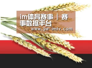 im体育赛事 | 赛事数据平台