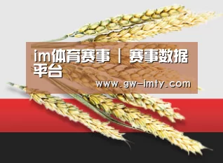 im体育赛事 | 赛事数据平台