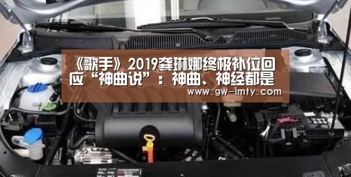 《歌手》2019龚琳娜终极补位回应“神曲说”:神曲、神经都是声音的能量:im体育下载(图3) im体育下载