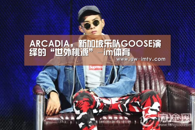 ARCADIA,新加坡乐队GOOSE演绎的“世外桃源”-im体育(图2) im体育APP