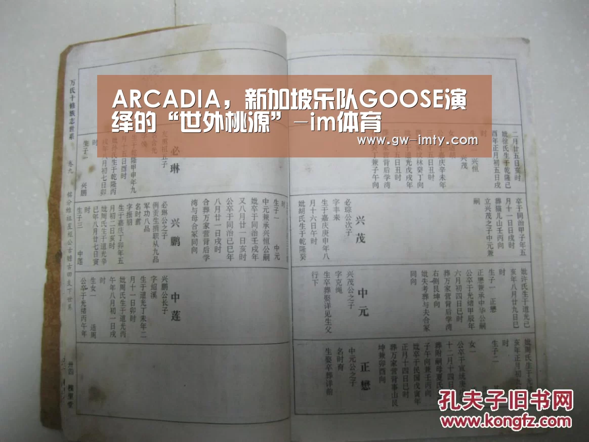 ARCADIA,新加坡乐队GOOSE演绎的“世外桃源”-im体育(图3) im体育投注