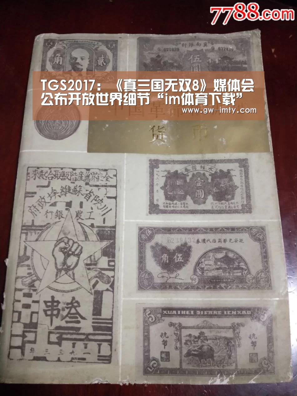 TGS2017:《真三国无双8》媒体会公布开放世界细节“im体育下载”(图2) im体育