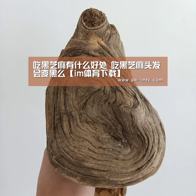 吃黑芝麻有什么好处 吃黑芝麻头发会变黑么【im体育下载】(图1) im体育APP