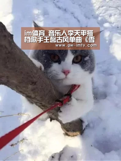 im体育_音乐人李天平搭档歌手王馨古风单曲《雪莲花的花瓣》上线(图2) im体育投注