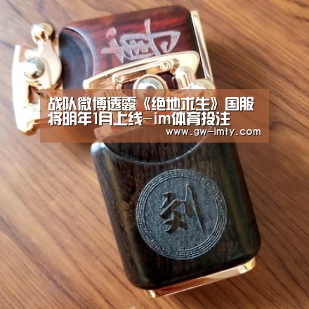 战队微博透露《绝地求生》国服将明年1月上线-im体育投注(图3) im体育APP